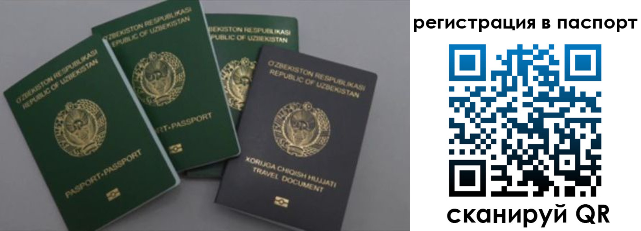 прописка от собственника в Вытегре